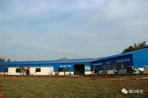 湖口這個鄉(xiāng)鎮(zhèn)變化太大了,美到你不認識 是你家鄉(xiāng)嗎