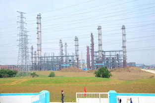 大明支持環(huán)保項目建設