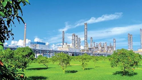 中國石化打造綠色發展亮麗名片
