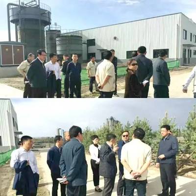 內(nèi)蒙古自治區(qū)黨委常委、呼和浩特市委書記云光中一行蒞臨萬德斯環(huán)保項目現(xiàn)場視察指導
